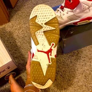 Jordan retro 6